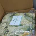 Tommy Bahama - King Comforter Set, Cotton Sateen Bedding with Matching Shams & Bedskirt, Home Decor for All Seasons (Palmiers Green, King)
