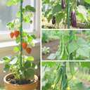 Lature Garden Stakes 3FT 25pcs, Plastic Coated Steel Stakes Specifically Designed for Climbing Plants, Ideal for Tomatoes, Beans, Cucumbers, Peppers, Vines, and More Plant Growth