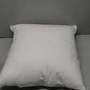 MIULEE 20x20 Inch Throw Pillow Insert Premium Throw Pillow Virgin Microfiber Stuffer Rectangle Pillow for Sofa Bed Couch, 2 pcs, White