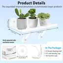 2 Pack 12 Inch Acrylic Window Boxes Plant Shelves, 6 Inch Extra-Wide Windowsill Extender – Features Suction Cups and Support Brackets for Succulents, Herbs, Seed Starting | Indoor/Outdoor Use, 12IN-2PC