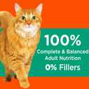 Iams Iams Proactive Health Adult Hairball Care Dry Cat Food With Chicken & Salmon, 7 Lb. Bag, 1count (EXP 02/11/27)