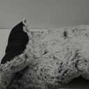 XL Dog Bed Crate Pad Mat for Cages Washable Bed for Extra Large Size Dog Soft Kennel Pad Anti-Slip Pet Bed,42" x 27",Grey