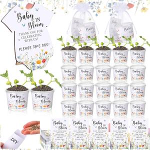 Hushee 151 Pcs Wildflower Baby in Bloom Baby Shower Decorations, Include 1 Greenery Sign 50 Wildflower Seed Packet 50 Mini Grow Flower Pots with 50 Bags Babys in Bloom Favors for Gender Reveal Gift