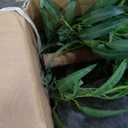 Nearly Natural 9ft. Willow Artificial Tree (Real Touch)