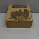 Wood Slices 6 Pack 9-10.5 Inch Large Wood Rounds Natural Wood Slices for Centerpieces,Wedding&BabyShower,Table Decorations,Crafts,DIY,Arts
