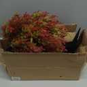 2pack 23Inch Realistic Artificial Autumn Plant Balls Simulation Cedar Trees, UV Resistant Artificial Fall Fake Bushes for Outdoor Garden Porch Farmhouse Kitchen Office Potted Plant Decoration