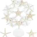 15 PCS Starfish and Scallop Shells, 2"-4" Natural Seashells White Seashells Large Seashells for Crafts Wedding Decor Beach Theme Party, Fish Tank and Vase Filler