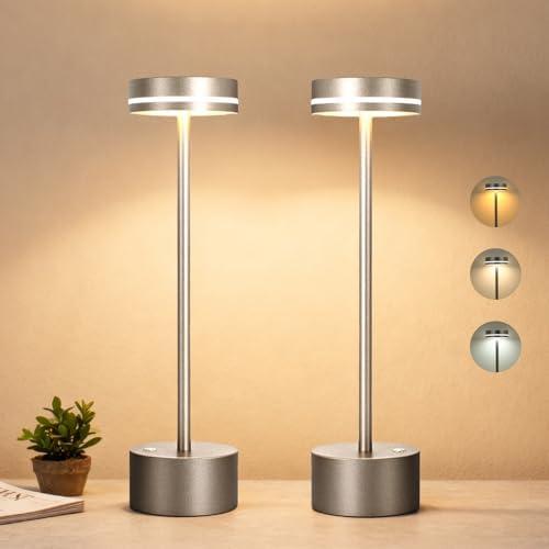 LZXYUYU Cordl ess Table Lamp Rechargeable, Touch Desk Lamp with 5000mAh Battery, 3 Color Dimmable Light, Small Portable Aluminum Light for Outdoor/Patio/Dining/Tabletop/Bar, Home Decor (Silvery 2PK)