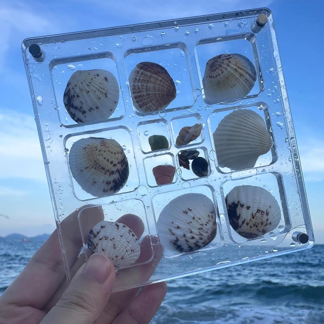 Acrylic Shadow Boxes Magnetic Seashell Display Box, Mini Seashell Collection Box with Clear Stand, Transparent Decorative Organizer for Seashell, Starfish Trinket, Small Craft, Nail and Jewelry 