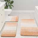 Arotive Microfiber Bathroom Rugs, Shaggy Soft and Absorbent Bath Rug, Non-Slip, Thick Plush Machine Washable Dry Bath Mats for Bathroom, Tub and Shower, 24x16, Peach, Rectangular