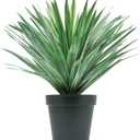 Velener Artificial Agave Plant in Black Pot with Real Stone Pebbles, Large Fake Agave Plant for Indoor and Outdoor-27 inches Tall, 126 Leaves