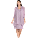 Solid Metallic Jacket Dress (Size 6)