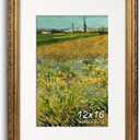 Antique Gold 12x16 Picture Frame, Ornate Embossing Frame with Paper Mat and Plexiglass, Fit for 12x16 without Mat or 8x12 with Mat, Wall Mounting Display for Art Prints, 1 Pack
