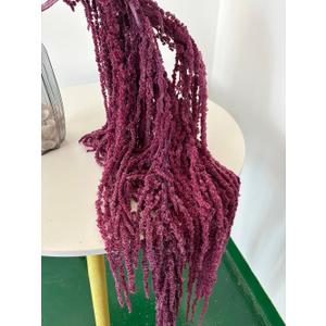 5 Pcs Bleached Wisteria Vine Hanging Dried Flowers, Natural Preserved Hanging Amaranthus Flowers for Wedding Bouquet, Wall Home Party Decor (Grape Purple)