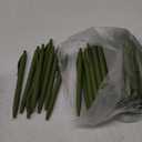 Deegtran Pens Bulk, 50 Pack No Bleed Sage Green Click Pen, Wholesale Retractable Ballpoint Pens, Pens Medium Point, Smooth Ink Pen, 1.0MM Sage Green