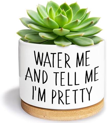Kwtzkuo Water Me and Tell Me I'm Pretty - Cute Ceramic Planter Pot with Drainage Hole, Home Office Funny Small Succulent Cactus Pot for Women, Friends, Coworker, Plant Lovers