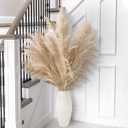 10 Stems 46" inch Dried Pampas Grass Decor Tall, Large Pompas Grass, Boho Neutral Home Decor Bouquet, Fluffy Pampass Grass for Floor Vase Wedding Floral Arrangements Wall Farmhouse Table Decor