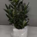 Indoor Fake Olive Plant - 12 inch Faux Silk Olive Plant with Realistic Trunk and Lifelike Fruits in Black Rustic Planter - Perfect for Home and Office Decor