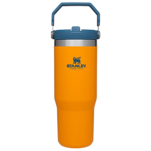 STANLEY IceFlow 2.0 Flip Straw Tumbler with Handle 30 oz | Twist On Lid and Flip Up Straw | Leakproof Water Bottle | Insulated Stainless Steel | BPA-Free | Toast