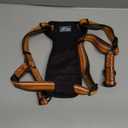 Coastal Pet K9 Explorer Reflective Adjustable Padded Dog Harness - Plush Chest Pad for Comfort - No-Pull Dog Harness for Small and Large Dogs - Campfire Orange - 1" x 20"-30", Medium