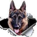 2PCS German Shepherd Dog Sticker 5.51"x4.72" Vinyl Car Waterproof Decal for Car Bumper, Notebook, Guitar, A Gift for Pet Lovers |#B0138