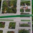 Artificial Greenery Grass Wall Panels,40'' x 40'' in(11.5 sqft)