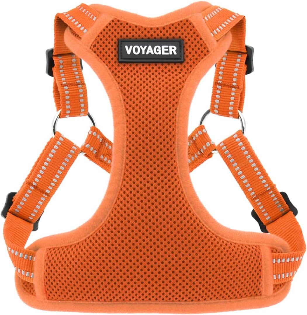 Best Pet Supplies Voyager Mesh Dog Breathable Harness Reflective Stitching, All Weather Adjustable for Walking Training, or Running - Heavy Duty & Durable, Harness (Orange), XS (XS (Chest: 13 - 16")) Best Pet Supplies Voyager Mesh Dog Breathable Harness Reflective Stitching, All Weather Adjustable for Walking Training, or Running - Heavy Duty & Durable, Harness (Orange), XS (XS (Chest: 13 - 16"))