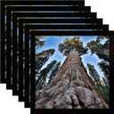 YYTRABAJO 6x6 Square Picture Frame Black Photo Frames Display for Wall and Tabletop, Set of 6