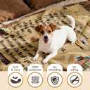 Get Well Gifts for Women, Extra Large Inspirational You are Not Alone Comfort Blanket, Supportive Plush Throw for Mom Sister Friend, Inspirational Spiritual Care Package, 50"x70" (Beige)