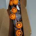 Pumpkin Tree Organics Super Oats & Seeds, Banana & Strawberry, 4 Ounce (Pack of 10) (BB: 09/17/2026)