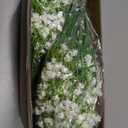 Yastouay Babys Breath Artificial Flowers, 30 Pcs White Baby Breath Flowers Artificial Bulk, Real Touch Fake Babys Breath Gypsophila for Wedding Party Bouquet Floral Arrangement Home Decor