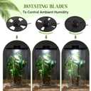 Maxdot Glass Plant Terrarium Kit with Light for Succulent, Moss, Miniature Gardening Landscape, Betta Fish Tank, Office Home Decoration, Plant Lovers Gifts(9.8 x 5.9 Inch)