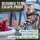 Houdini Escape Proof Cat Harness and Leash Set by OutdoorBengal Black, Medium Cat Harness for Walking