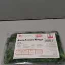 fun shack Mens Chocolate Factory Worker Wig Adults Bright Green Costume Accessory (One Size)