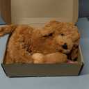 HyDren Nurturing Dog Stuffed Animal Sets Soft Cuddly Nursing Mommy Dog with 4 Stuffed Puppies for Birthday Party Favor Gifts(Golden Retriever)