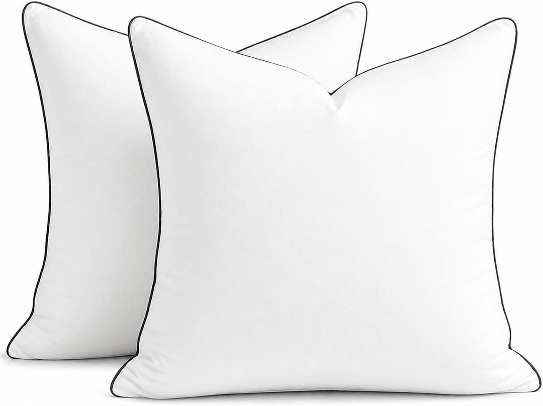 puredown 20x20 Pillow Inserts Set of 2, Fluffy Overfilled Down Alternative Decorative Pillows, Soft Plush Throw Pillows for Couch, Sofa, Bed and Home Decor
