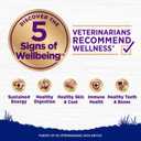 Wellness Complete Health Large Breed Adult Dry Dog Food, Wholesome Grain Kibble, Natural, Chicken and Brown Rice Recipe, 30 lb Bag (EXP 07/27/27)