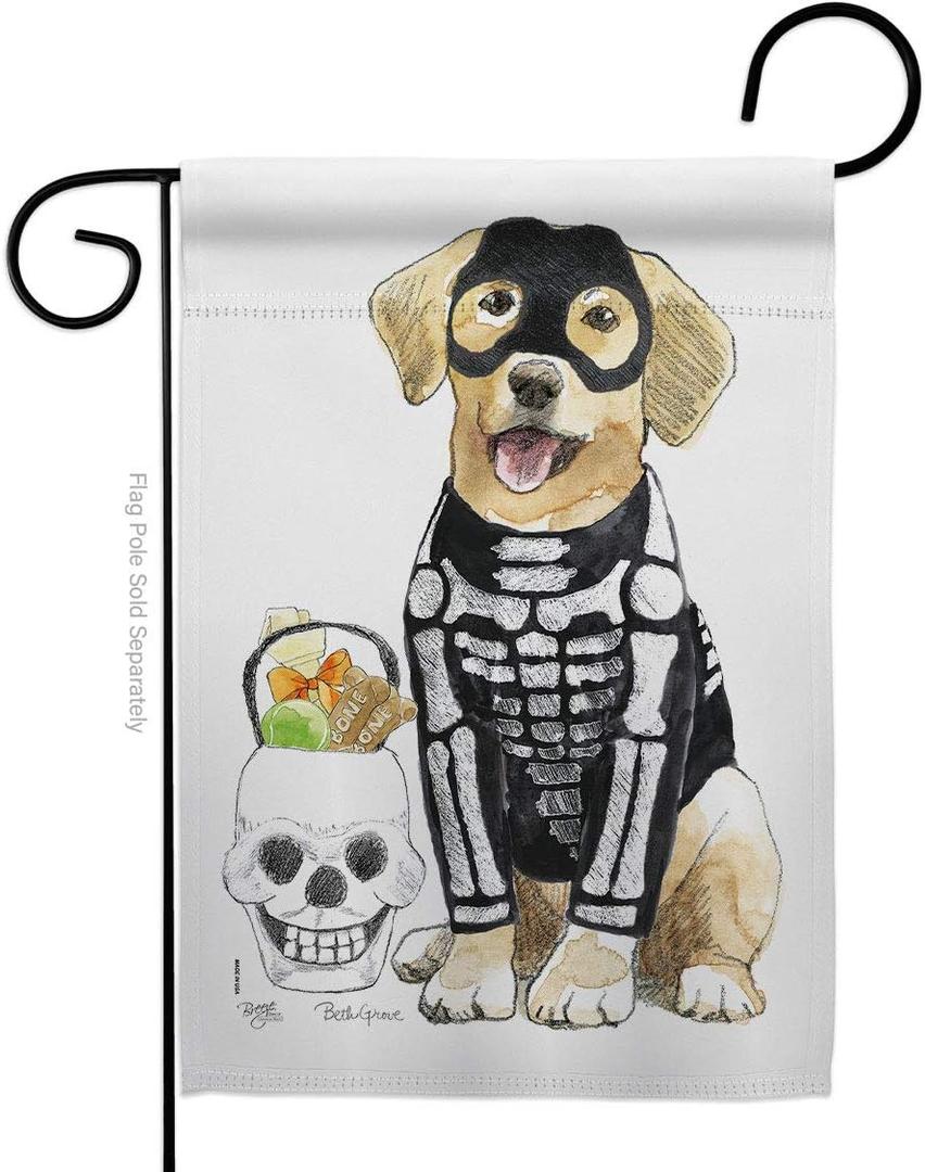 Spooky Skeleton Lab Garden Flag - Fall Halloween Witch Trick or Treat Night Black Cat Season Autumntime Pumpkin - House Decoration Banner Small Yard Gift Double-Sided Made In USA 13 X 18.5
