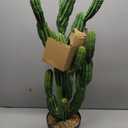 Artificial Cactus Plant 32 Inch Faux Desert Cacti Fake Cactus Potted Plant with Black Planter for Home Garden Office Indoor Outdoor Decoration