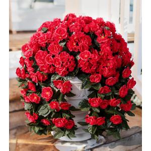 Artificial Flowers for Outdoors Fake Geraniums Spring Outside Decor, 2 PCS Red Geraniums Faux Hanging Flowers Plants UV Resistant Outdoor Silk Vines Look Real for Planters Patio Porch Garden Home