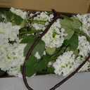 Kajaia 4 Pcs Artificial Snowball Hydrangea Branches 30 Inch Faux Snowball Viburnum Stems, 5 Head Silk Hydrangea Blooms Branch for Vase DIY Table Centerpiece, Farmhouse Home Wedding Decor(Cream White)