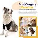 Dog Elbow Brace for Pet Elbow and Shoulder Support for Elbow Arthritis, Dysplasia, Elbow Calluses, Elbow Brace for Front Leg Dog Elbow Protector for Pets Elbow Dysplasia
