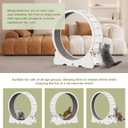 Cat Wheel, 53" XXL Large Exercise Running Wheels with Detachable Carpet for Indoor Cats