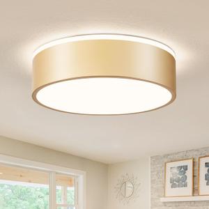 Vikaey Gold LED Ceiling Light, Modern Flush Mount Ceiling Light Fixture, Minimalist Round Metal Lighting Fixture Ceiling Lamp for Hallway, Entryway, Bedroom, Balcony, 11.81 Inch (11.81in)