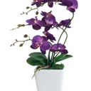 YSZL 15" Tall Artificial Silk Phalaenopsis Orchid Flower Plant Pot Arrangements (Dark Purple)