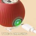 Chewie Viral 360 Smart Automatic Rolling Pet Ball (3 PCS) - Interactive Dog & Cat Toy