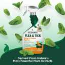 Vets Best Indoor Flea and Tick Spray Dog Flea and Tick Treatment for Home, Plant-Based Formula with Natural Oils, Kills Fleas, Eggs & Ticks on Contact, Made in USA, 32 oz