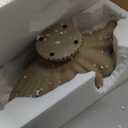 16" Large Decorative Bowl decor, Modern Home Decor,Stylish Key Bowl for Entry Table,Scalloped Decorative Bowls (Beige-With Base, 16.14inch)