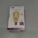 Feit Electric ST1960/FIL/AG 60 Watt Equivalent WiFi Dimmable, No Hub Required, Alexa or Google Assistant ST19 Edison Vintage LED Smart Light Bulb, Yellow, 5.4" H x 2.5" D, 2100K Amber,  1 Count (Pack of 1)