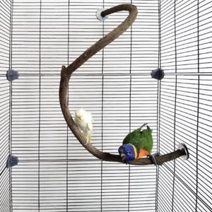 Parrot Perch Stand Bird Cage Stand Pole Natural Wild Grape Stick Grinding Paw Cage Accessories for Parakeet Cockatiels Budgies Conure Lovebirds Platform (S-Shaped)